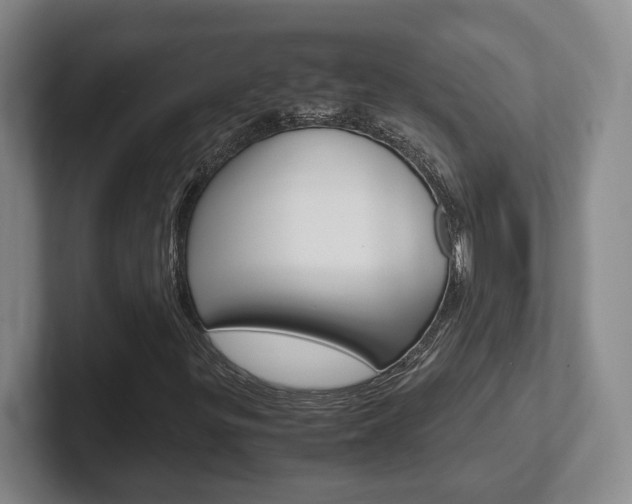 X0000102271299200807250849