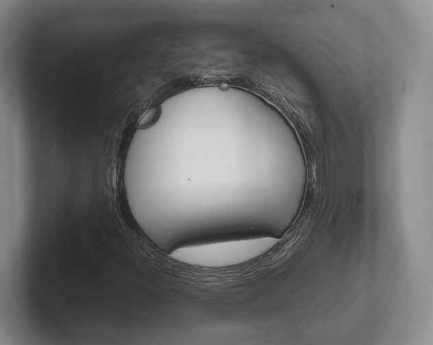 X0000102271300200807250850