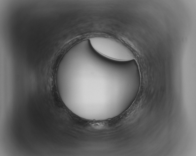 X0000102271303200807250850