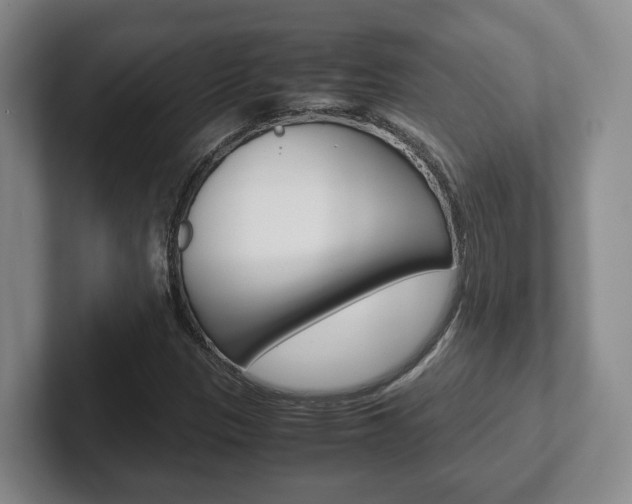 X0000102271305200807250850