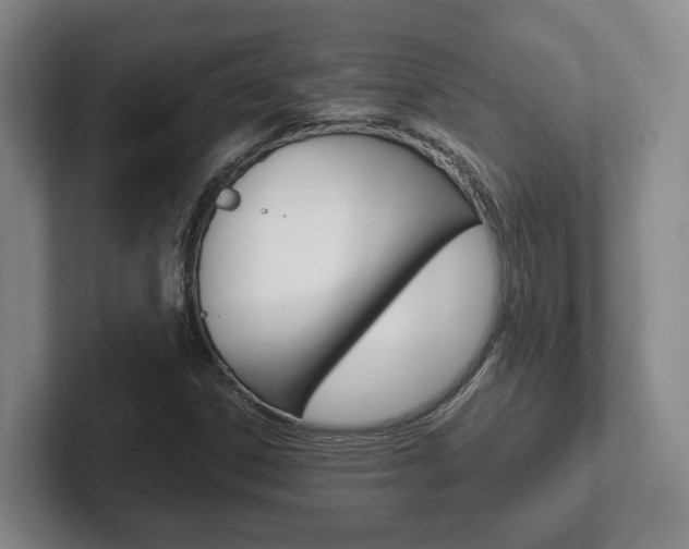 X0000102271306200807250850