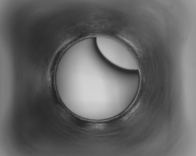 X0000102271309200807250850