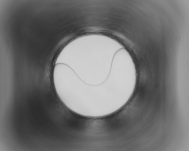 X0000102271314200807250850