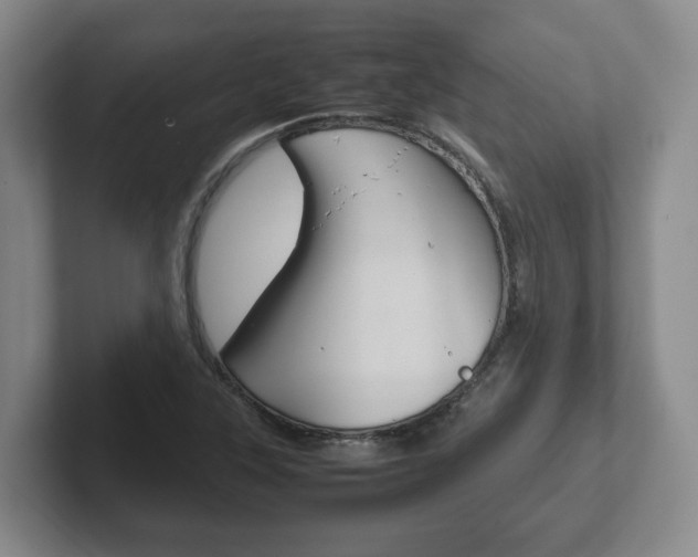 X0000102271315200807250850