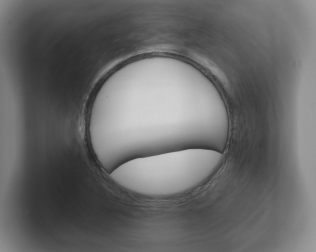 X0000102271316200807250850