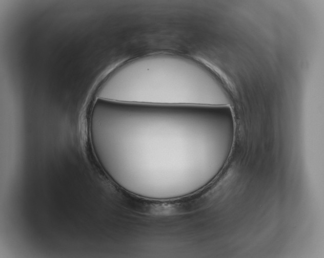 X0000102271317200807250850