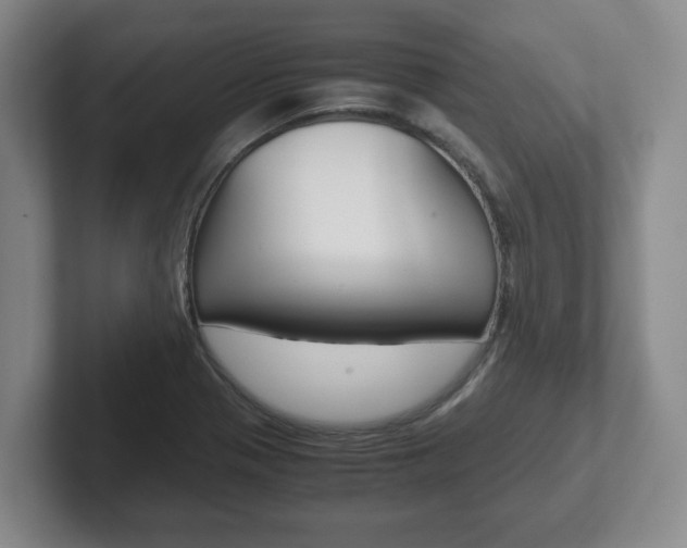 X0000102271321200807250850