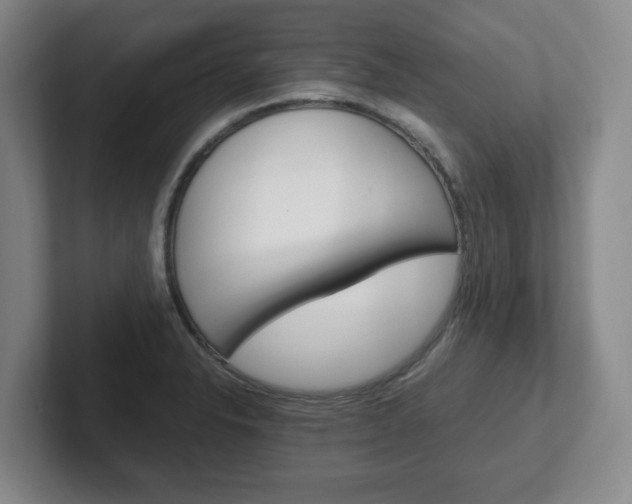 X0000102271326200807250850