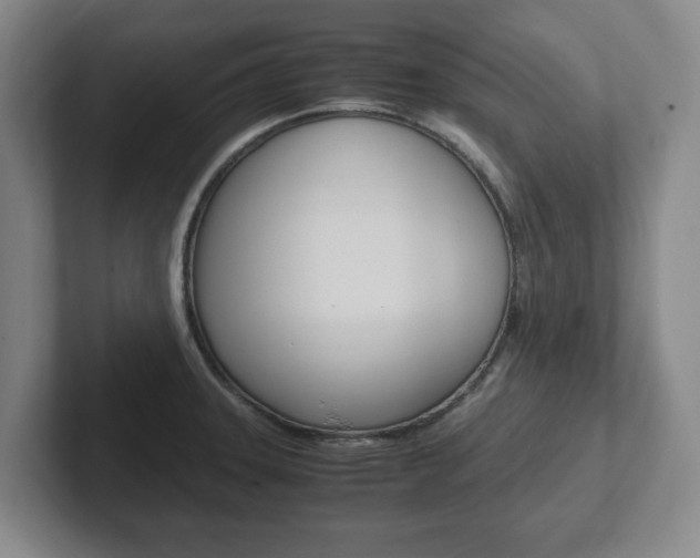 X0000102271331200807250850