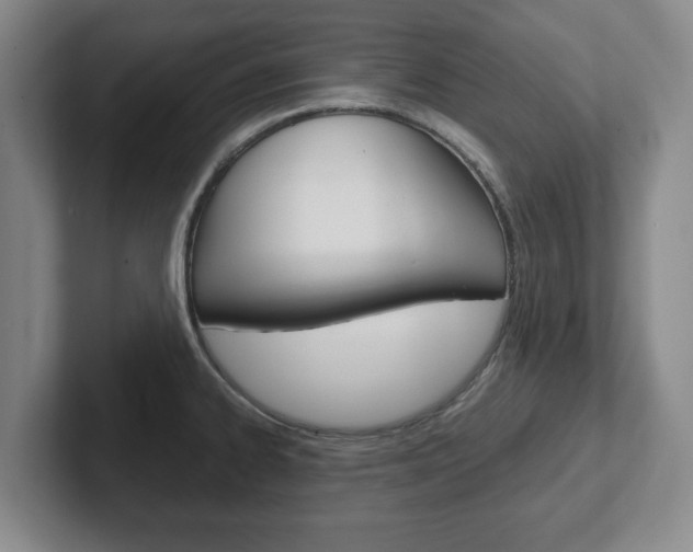 X0000102271334200807250850