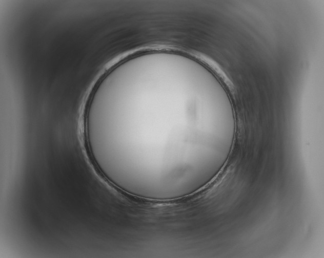 X0000102271335200807250850