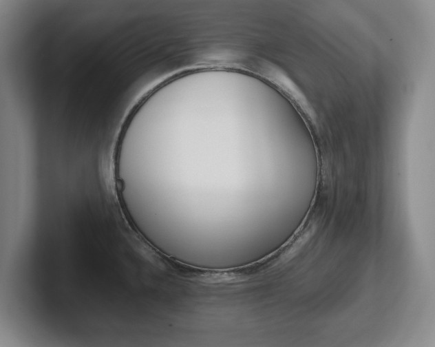 X0000102271336200807250850