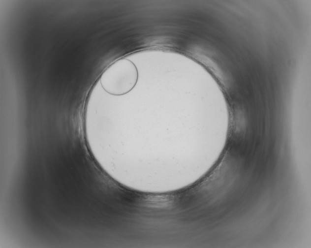 X0000102271338200807250850