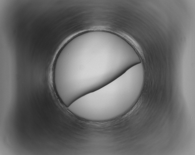 X0000102271340200807250850