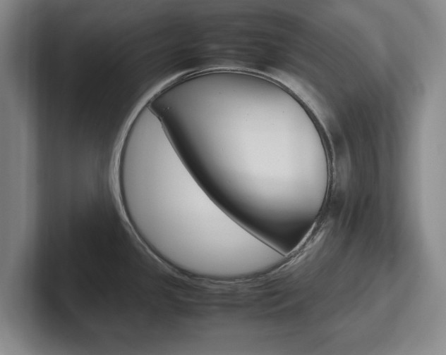 X0000102271341200807250850