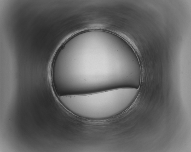 X0000102271342200807250850