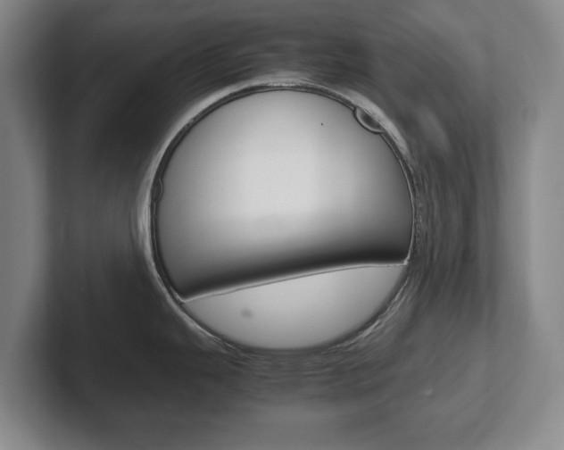 X0000102271343200807250850