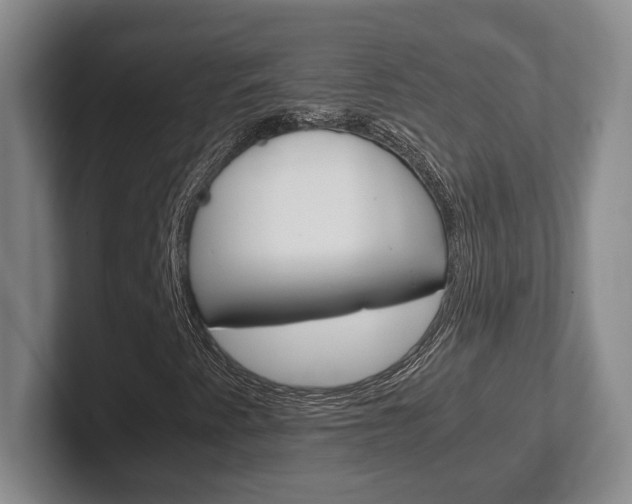 X0000102271345200807250849