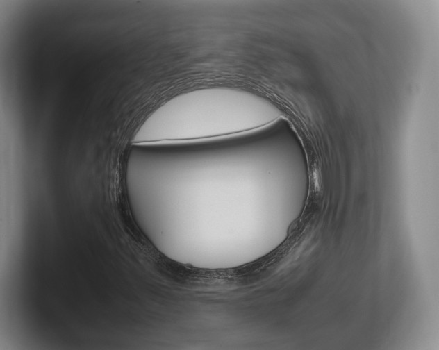X0000102271347200807250849