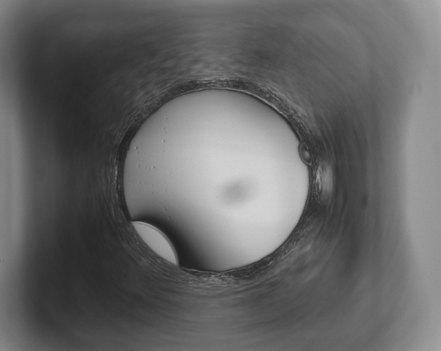X0000102271348200807250849