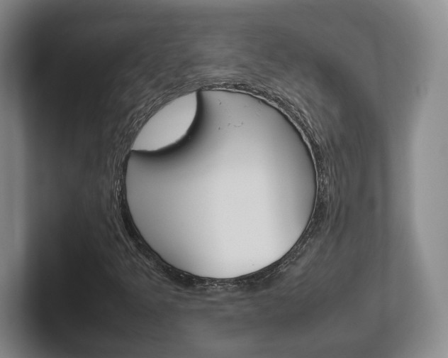X0000102271349200807250849