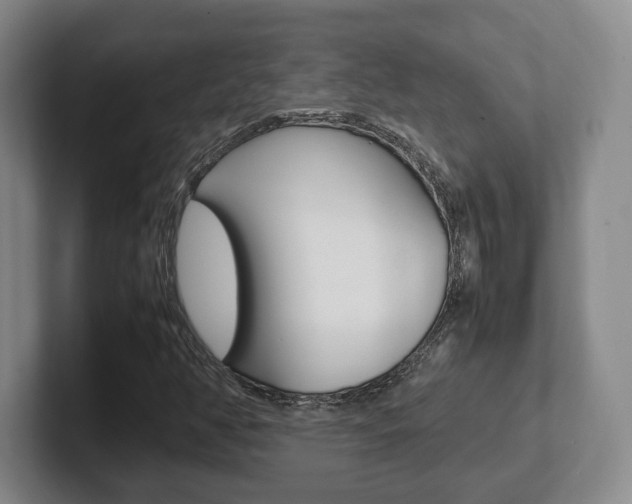 X0000102271350200807250849