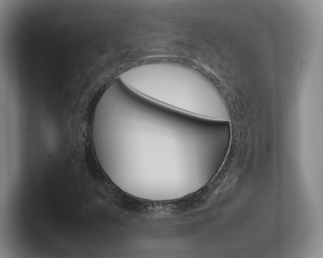 X0000102271351200807250849