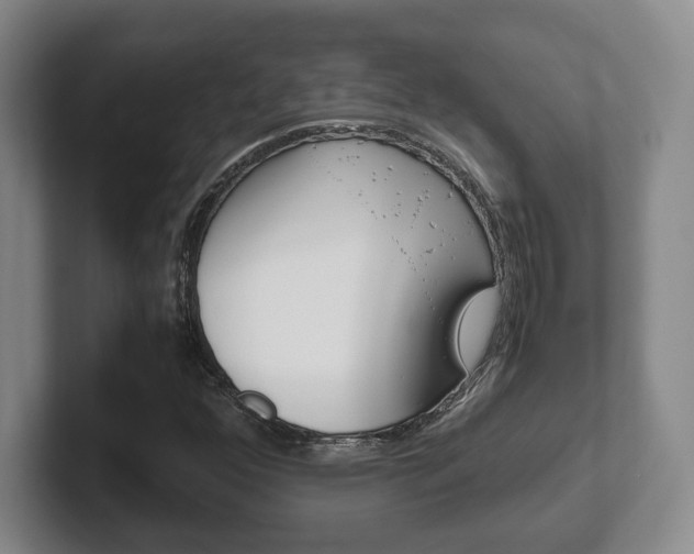 X0000102271352200807250849