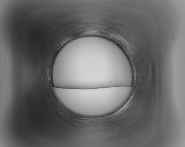 X0000102271353200807250849