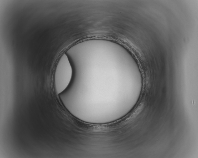 X0000102271354200807250849