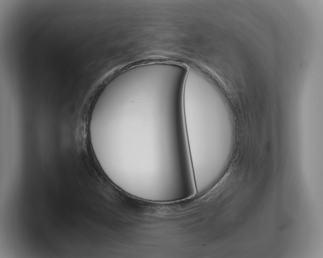 X0000102271355200807250849