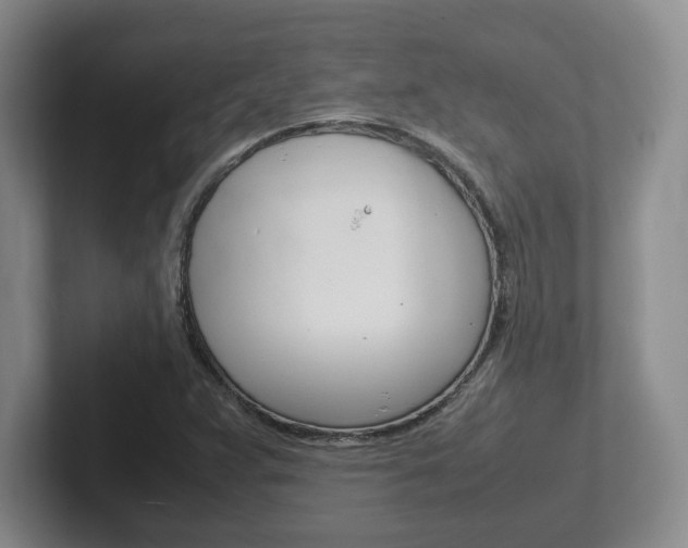 X0000102271359200807250849