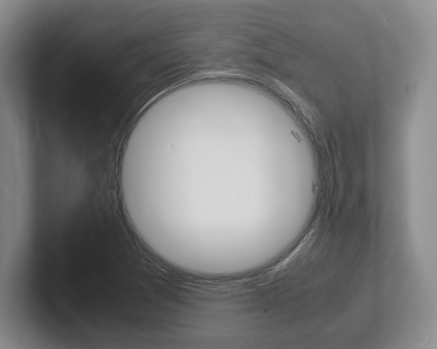 X0000102271361200807250849