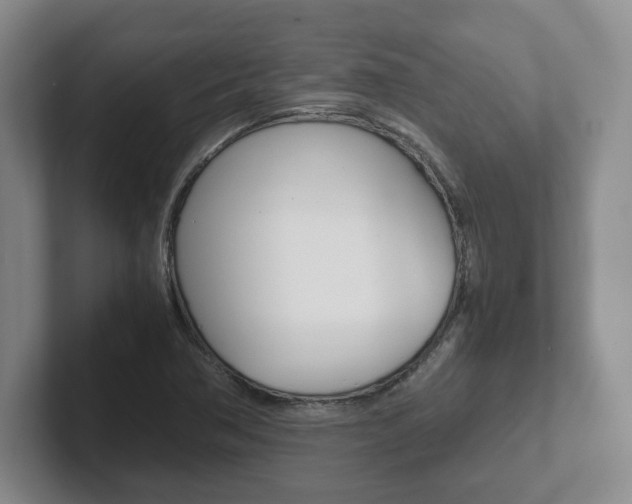 X0000102271362200807250849
