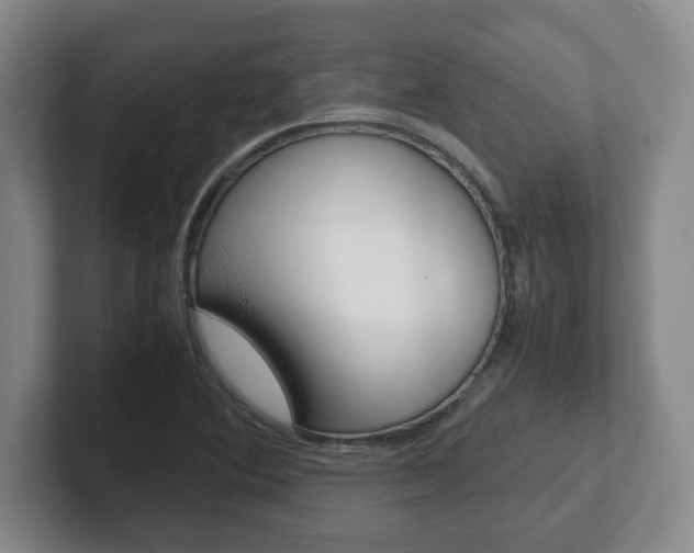 X0000102271364200807250849