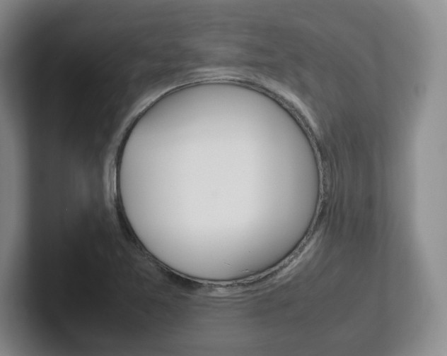 X0000102271365200807250849