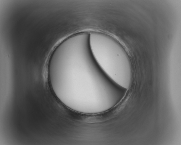 X0000102271367200807250849