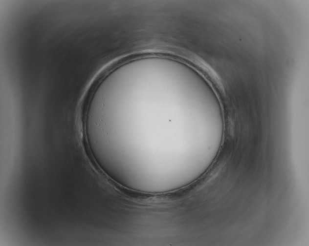 X0000102271368200807250849