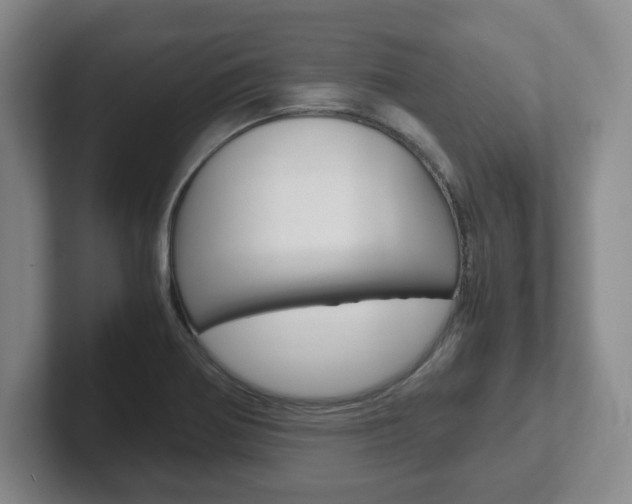 X0000102271370200807250849