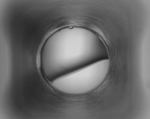 X0000102271371200807250849