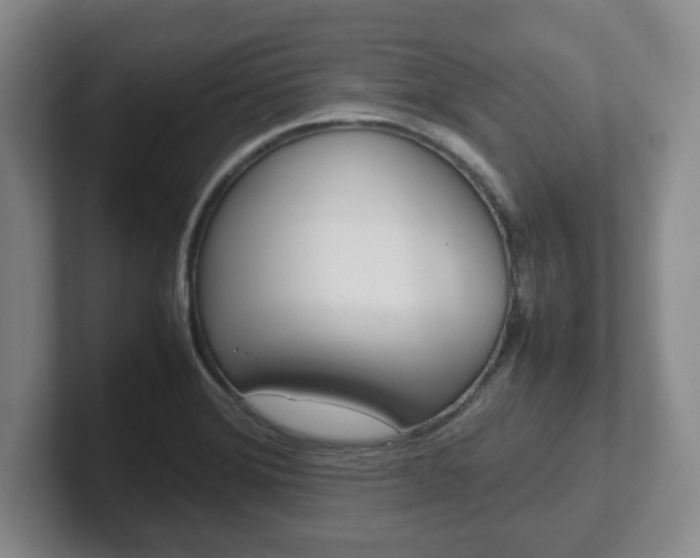 X0000102271372200807250849