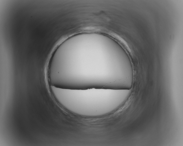 X0000102271373200807250849