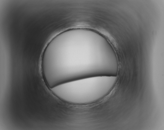 X0000102271374200807250849