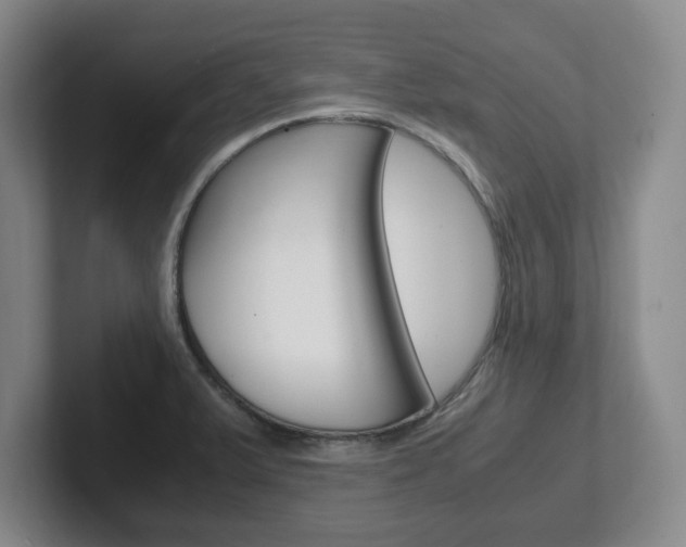 X0000102271375200807250849