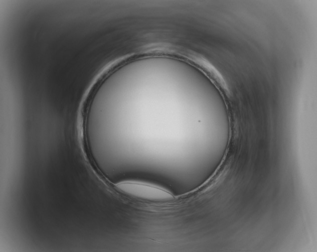 X0000102271376200807250849