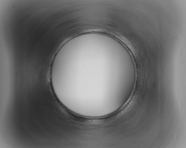 X0000102271377200807250849