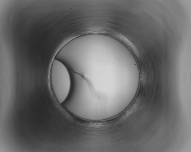 X0000102271378200807250849