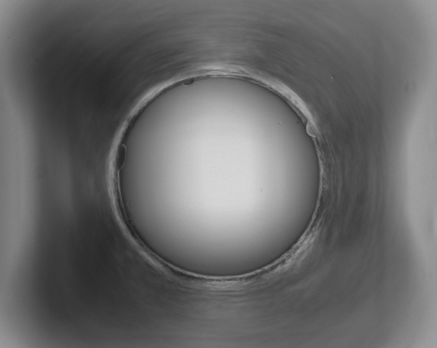 X0000102271381200807250849