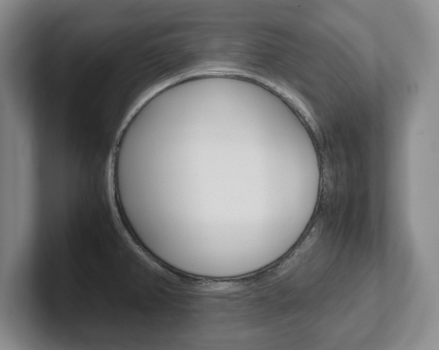 X0000102271382200807250849
