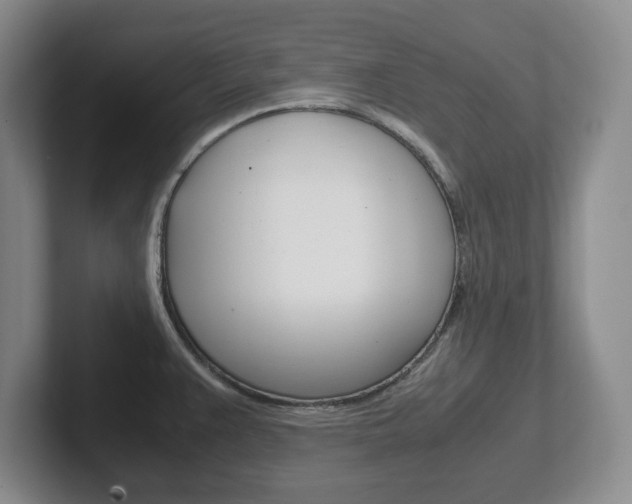 X0000102271383200807250849